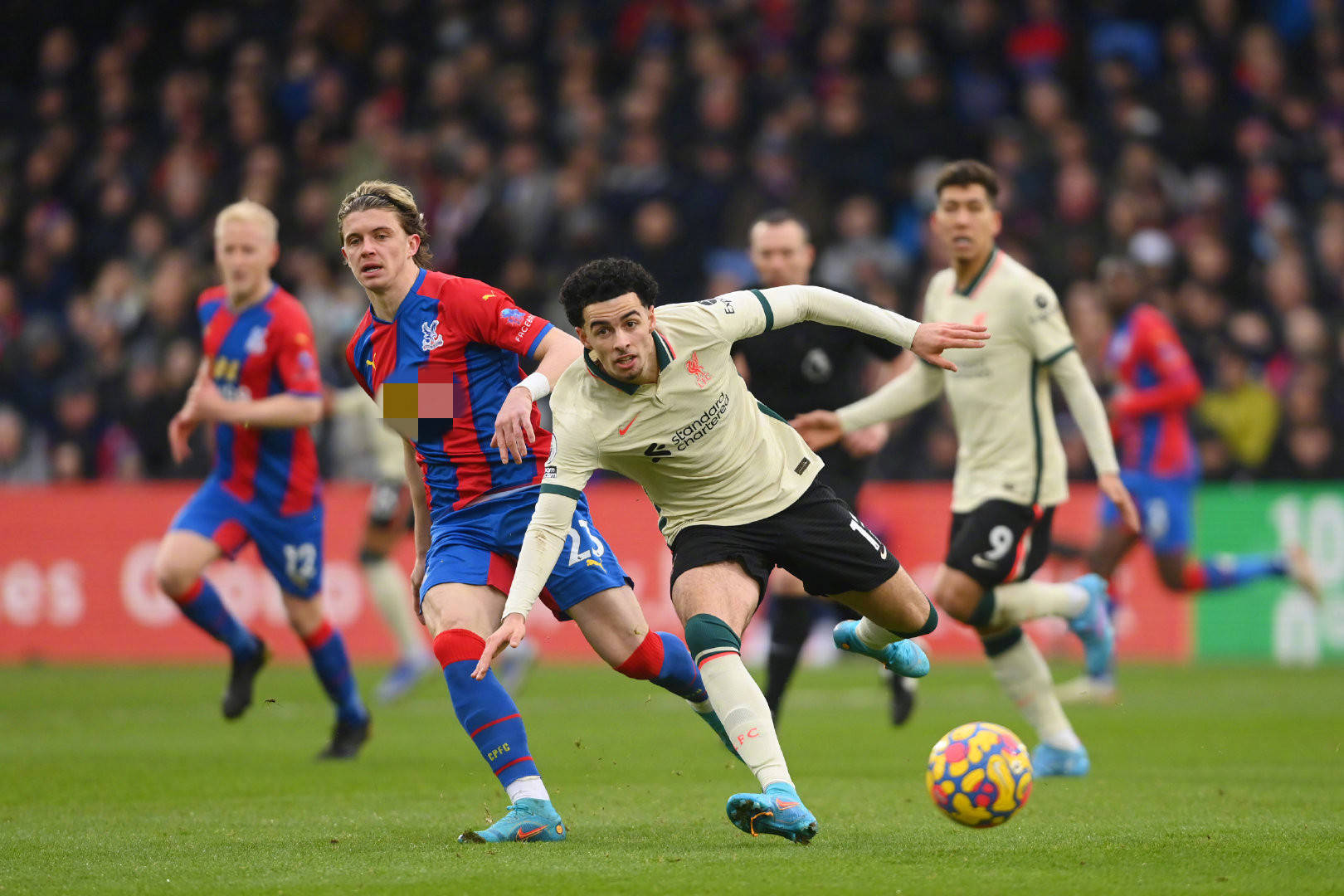 无论你是初 无论你是初